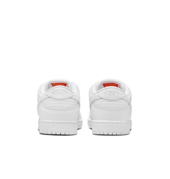 Кросівки чоловічі Nike Sb Dunk Low Pro (FJ1674-100) FJ1674-100 фото