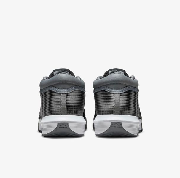 Кросівки унісекс Nike Lebron Witness 8 Grey (FB2239-004) FB2239-004 фото