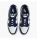 Кросівки унісекс Nike Dunk Low Retro (HF5441-107) HF5441-107 фото 4
