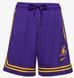 Шорти жіночі Nike Lal W Nk Df Short Xvr Cts Nba Violet Dn4740-504 (DN4740-504) DN4740-504 фото 1