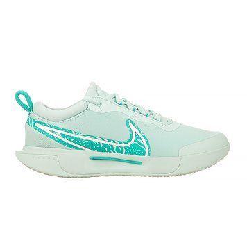 Кросівки Nike ZOOM COURT PRO HC DV3285-300 фото