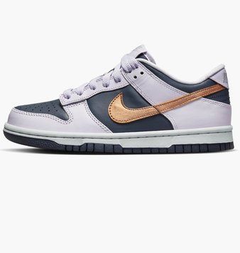 Кросівки Nike Dunk Low Se (Gs) DX1663-400 фото