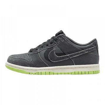 Кросівки Nike Dunk Low Halloween (2022) (GS) Iron Grey DQ6215-001 фото