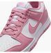 Кросівки жіночі Nike Dunk Low Next Nature (DD1873-112) DD1873-112 фото 7