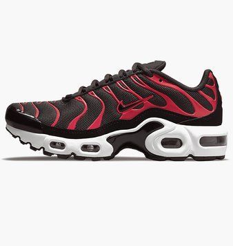Кросівки Nike Air Max Plus Bred (2021) (GS) CD0609-200 фото
