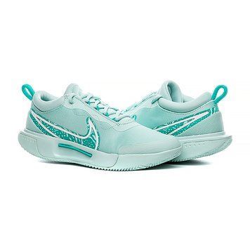 Кросівки Nike ZOOM COURT PRO CLY FD1156-300 фото