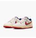 Кросівки чоловічі Nike Dunk Low Retro Se (HV5749-110) HV5749-110 фото 5