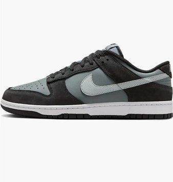 Кросівки Nike DUNK LOW IB3079-001 фото