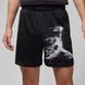 Шорти Jordan M DF SPRT GFX SHORT HQ8665-010 фото 2