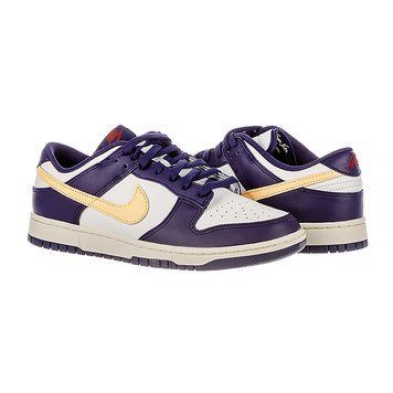 Кросівки NIKE DUNK LOW RETRO FV8106-181 фото