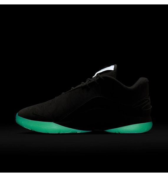 Кросівки чоловічі Nike Lebron Xxii (FZ1094-002) FZ1094-002 фото
