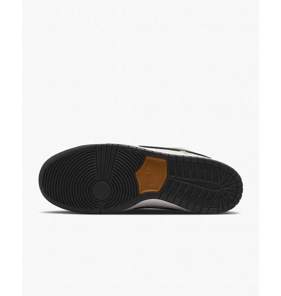 Кросівки чоловічі Nike Dunk Low Pro Sb Electric (FZ1233-002) FZ1233-002 фото