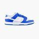 Кросівки унісекс Nike Dunk Low Sc (FN3416-001) FN3416-001 фото 3