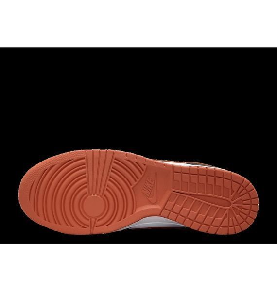 Кросівки чоловічі Nike Dunk Low Retro (DV0833-108) DV0833-108 фото